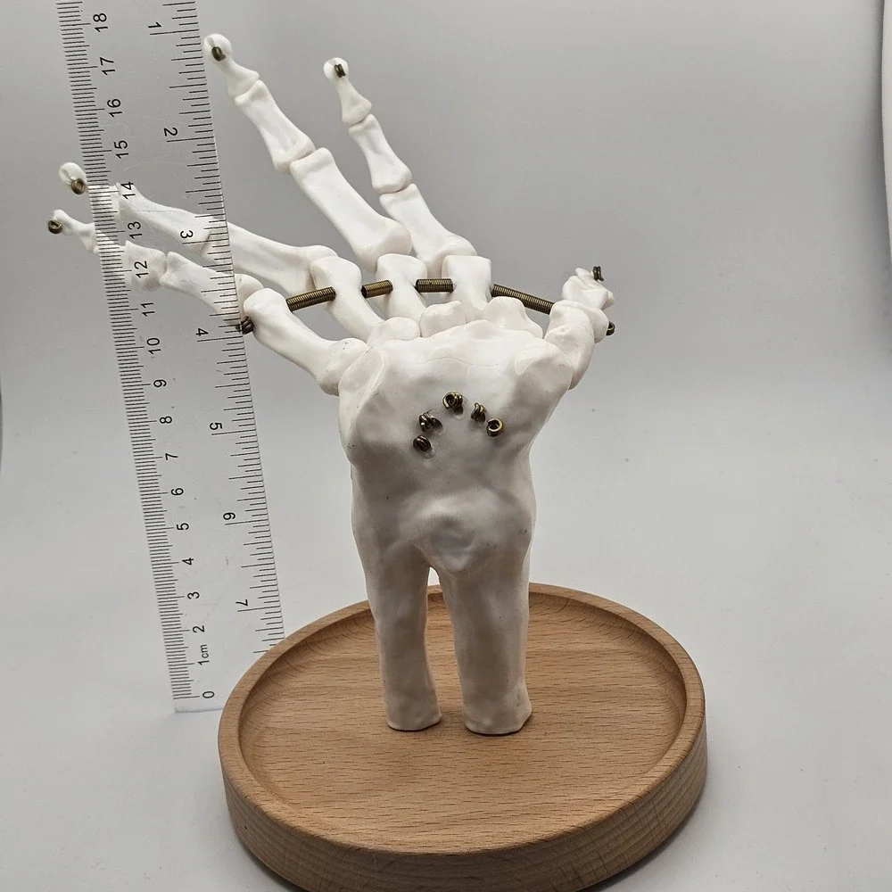 Suck UK Skeleton Hand Jewelry Tidy Holder Organizer Halloween
